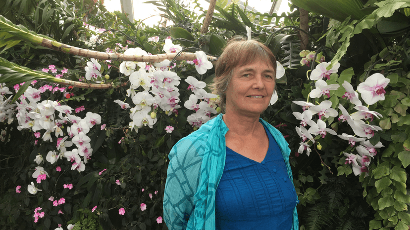 Identity and education for ecology